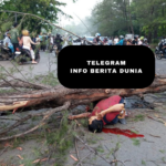 Seorang Pria Warga Bengkulu Tewas Tertimpa Pohon Tumbang Saat Angin Kencang!