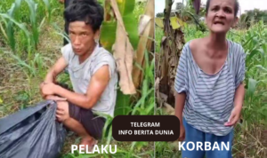 Pemuda di Medan P3rkosa Nenek-Nenek di Kebun Jagung!