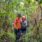 Kena Hipotermia dan Dievakuasi Basarnas di Gunung Klabat