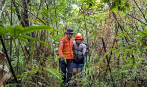 Kena Hipotermia dan Dievakuasi Basarnas di Gunung Klabat